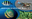 Alien Species in Our Seas
