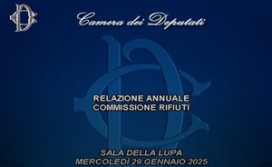Annual report Waste Commission