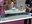 At Rimini, Arcadia is unveiled to the public: a scale model of ISPRA’s new oceanographic research vessel “arrives” at the Meeting
