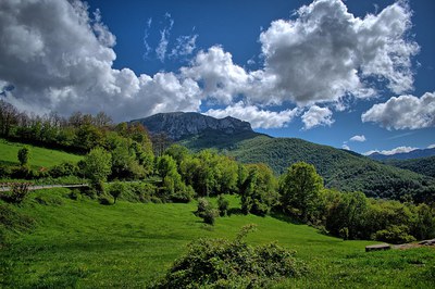 Challenges in the Measurement of Nature in Official Statistics