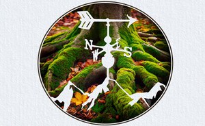 Climalab and Meteolab 2024: focus om soil and climate