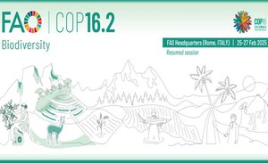 COP 16.2 concluded