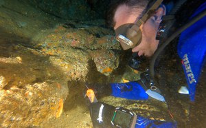 DigitAP Project: Monitoring the Mediterranean Monk Seal and Environmental DNA in Marine Protected Areas