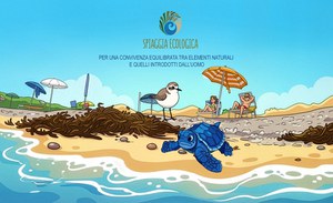 Ecological beach for a balanced coexistence between natural elements and those introduced by humans