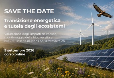Energy Transition and Ecosystem Protection: Assessing the Impacts of Wind Energy, Biodiversity Monitoring, and Nature-Based Solutions for Solar Photovoltaics