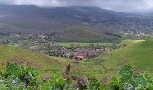 European Parks Day, 24 May 2025. Citizen Science Initiative at Castelli Romani Regional Park