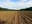 European Parliament Environment Committee approves Soil Monitoring and Resilience Directive