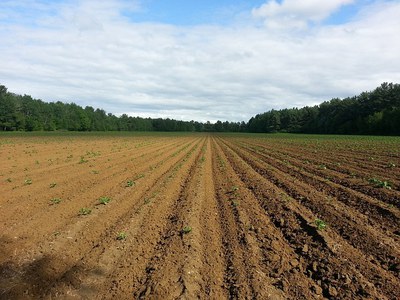 European Parliament Environment Committee approves Soil Monitoring and Resilience Directive