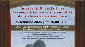 Financial interventions for the competitiveness and sustainability of the agri-food system