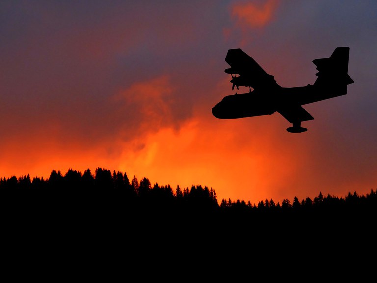 Fire on Monte Faeta: Impacts on Forest Ecosystems. First 2026 Data on Wildfires in Italy
