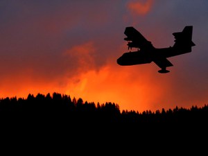 Fire on Monte Faeta: Impacts on Forest Ecosystems. First 2026 Data on Wildfires in Italy