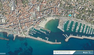 First extraordinary data from the mapping of coastal habitats as part of the PNRR MER project