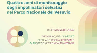 Four Years of Monitoring Wild Pollinators in the Vesuvius National Park