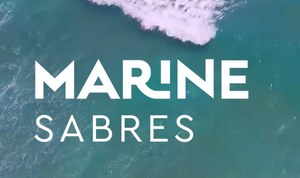 ISPRA’s participation in the activities of the EU projects MARINE SABRES and MARBEFES