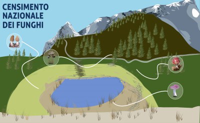 Launch of the new video of the Network for the study of mycological diversity
