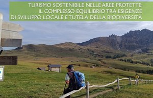 Online Reticula n.37/2024 - Monographic number