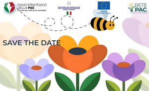 Protection of pollinators, tools and practices: what actions are possible?