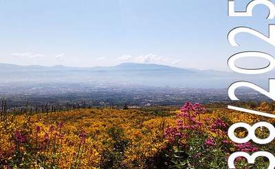 Publication of RETICULA n. 38/2025