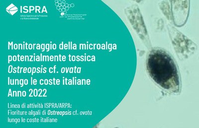 Published the report: "Monitoring potentially toxic Ostreopsis cf. ovata along the italian coasts. Year 2022".
