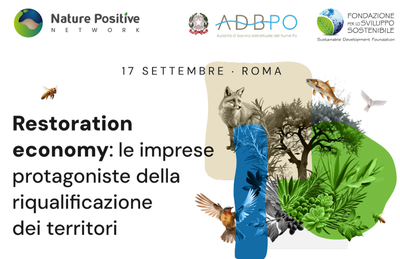 Restoration Economy: Businesses Leading the Redevelopment of Territories