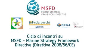 Second webinar "The implementation of the Marine Strategy Directive"