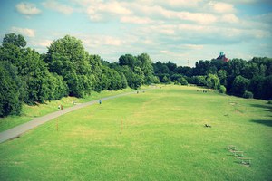 Smart management of green spaces for resilient, sustainable, and livable cities