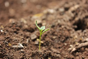 Soil Monitoring in the Anthropocene
