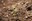 Soil Monitoring in the Anthropocene