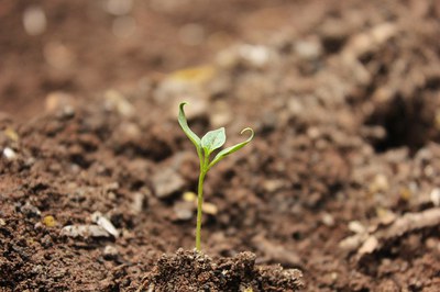 Soil Monitoring in the Anthropocene