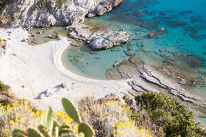 Summer School “Marine-Coastal Ecosystems and Climate Change: Chains of Connections and Resilience”