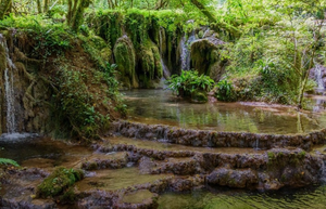 "Teveremolluschifantastici...and where to find them" excursion on March 15th at the Nazzano Tevere-Farfa Regional Nature Reserve