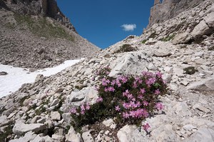 The conservation challenge to reverse biodiversity loss: the role of protected areas and natural resource management