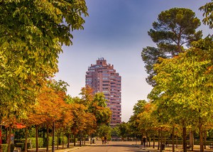 The Nature of the Democratic City