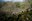 The Selva del Lamone Nature Reserve: An Ecosystem Shaped by Volcanism