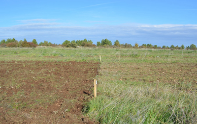 The Soil Monitoring and Resilience Directive has been published and approved by the European Parliament.