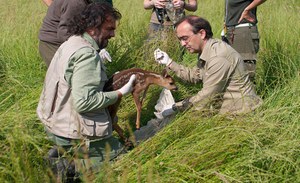 The spring season of openings at the Presidential Estate of Castelporziano starts again on March 15th