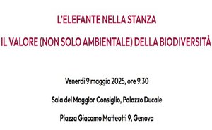 The value (not only environmental) of biodiversity