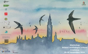 Urban ornithological atlases workshop