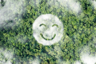 Voice from environment