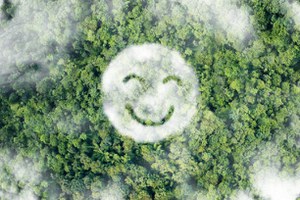 Voice from environment