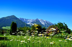World Biodiversity Day 2026
