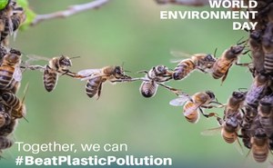 World Environment Day 2025