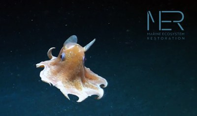 World Oceans Day