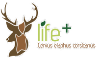 Life + One deer, two Islands