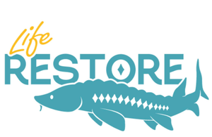 Life Restore