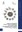 Fertilization and larval development bioassays with the sea urchin Paracentrotus lividus (Lamarck) (Echinodermata : echinoidea)