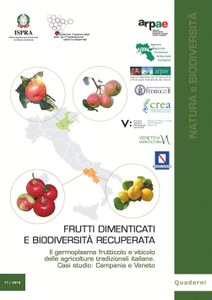 Forgotten fruits and recovered biodiversity. The germplasm of wine and fruits of traditional Italian agriculture. Case studies: Campania and Veneto