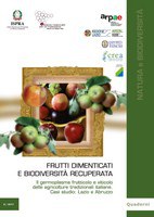 Forgotten fruits and recovered biodiversity. The germplasm of wine and fruits of traditional Italian agriculture. Case Study: Lazio and Abruzzo