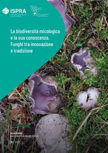 Mycological biodiversity and its knowledge. Fungi between innovation and tradition