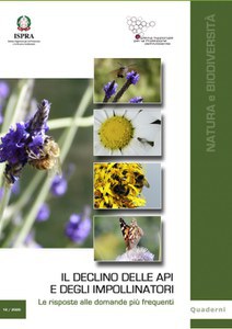 The decline of bees and pollinators. The answers to the most frequently asked questions